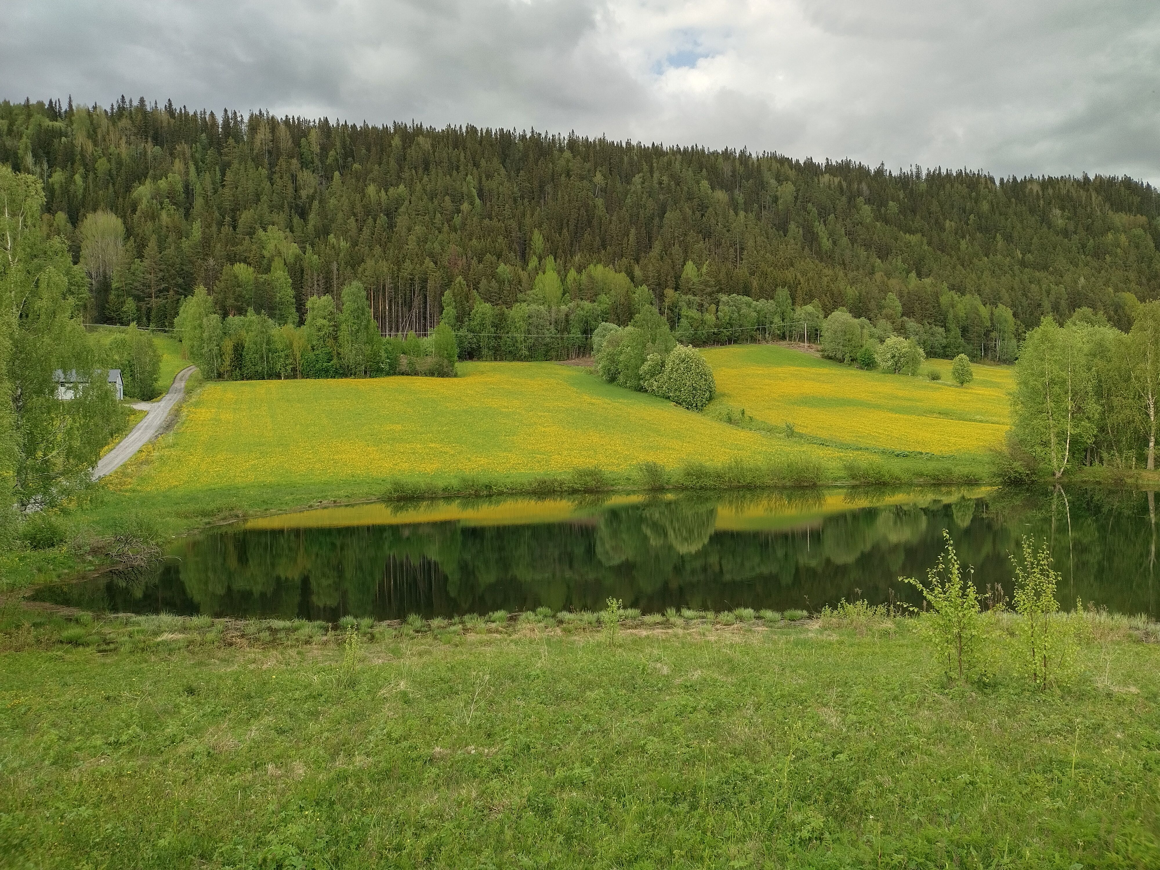 Landschap bij Lierne (Noorwegen) Landschap bij Lierne (Noorwegen)