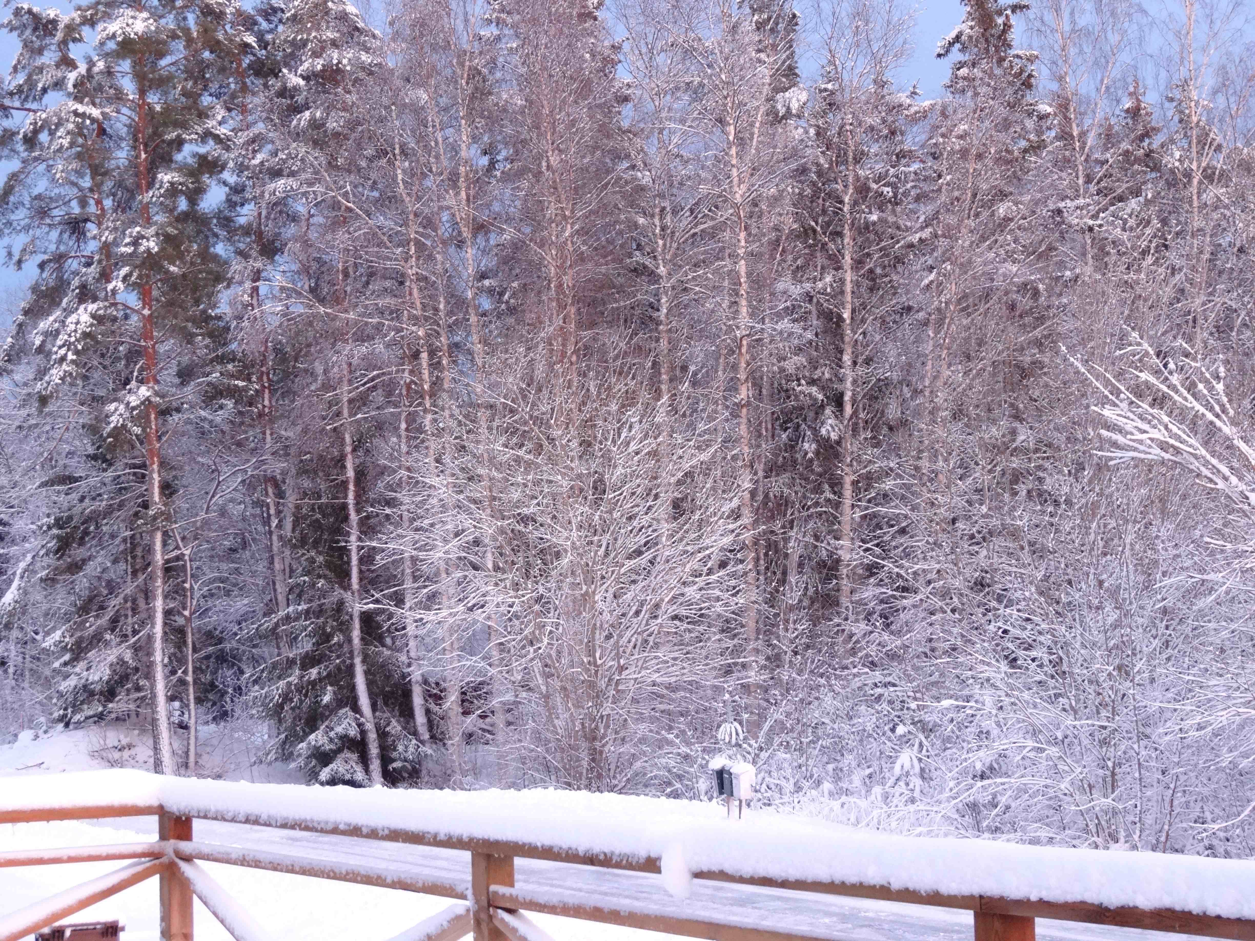 Sneeuw rond huisje (Zweden) Sneeuw rond huisje (Zweden)